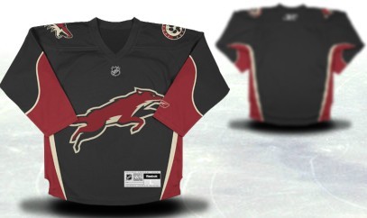 Phoenix Coyotes Youths Customized Black Third Jersey